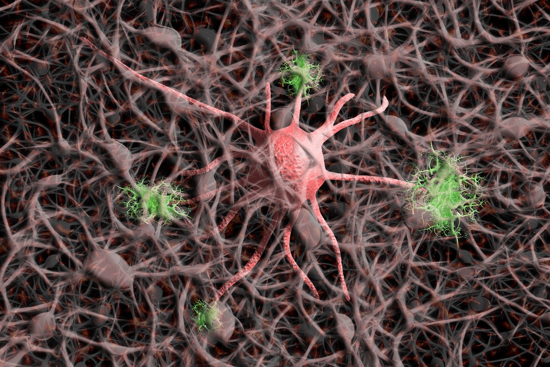 Illustration von Nervenzellen – Symbol für neuronale Vernetzung und Signalweiterleitung.